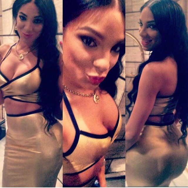 DynastySeries.com