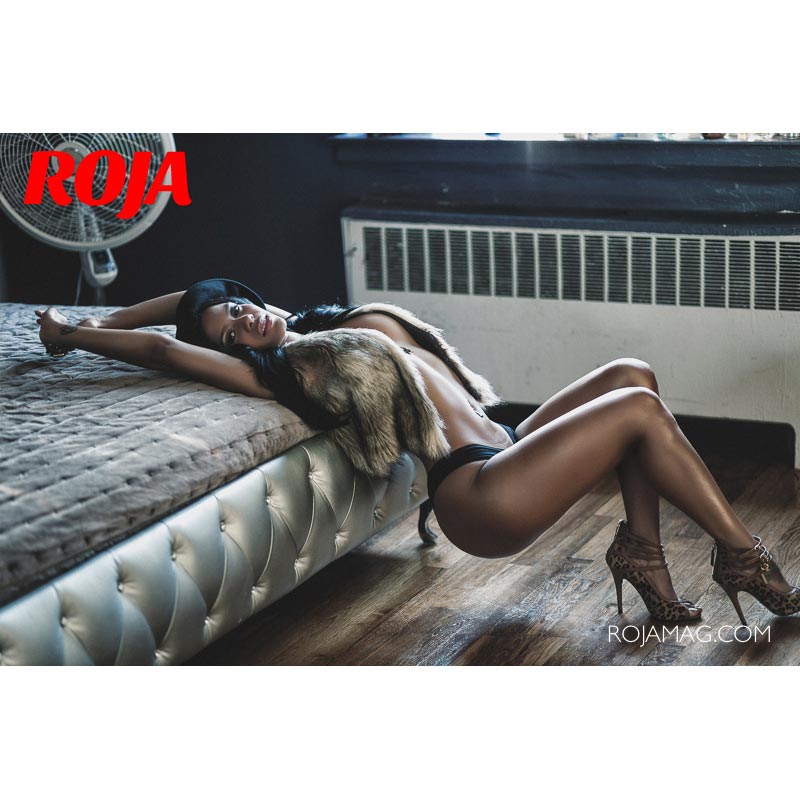 DynastySeries.com