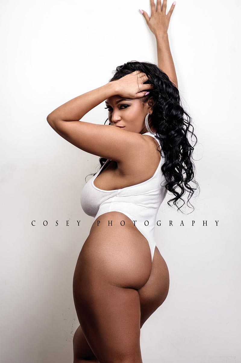 DynastySeries.com