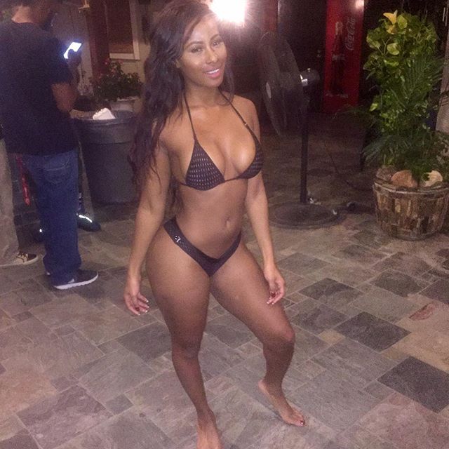 DynastySeries.com