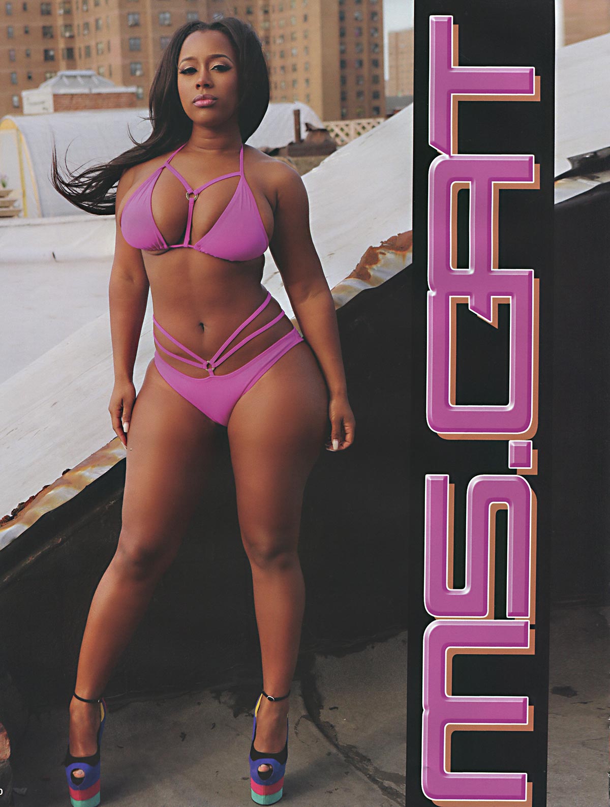 DynastySeries.com