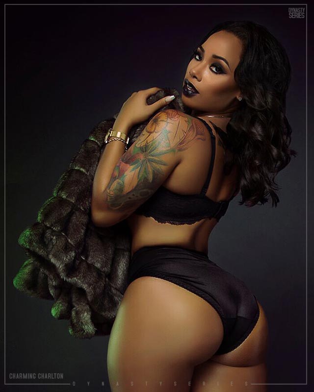 DynastySeries.com