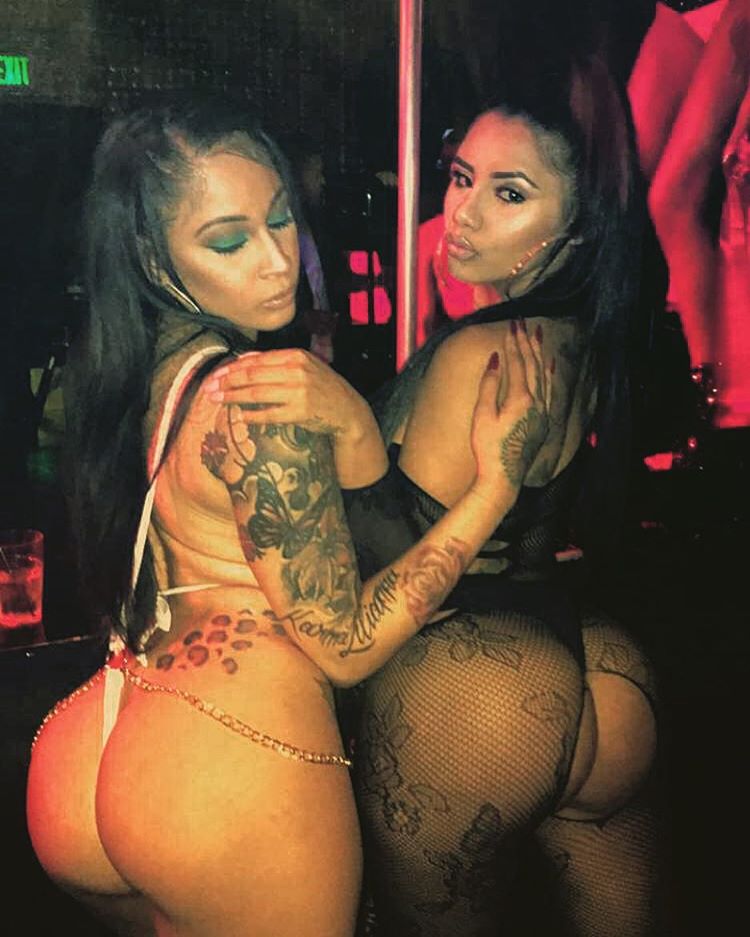 DynastySeries.com