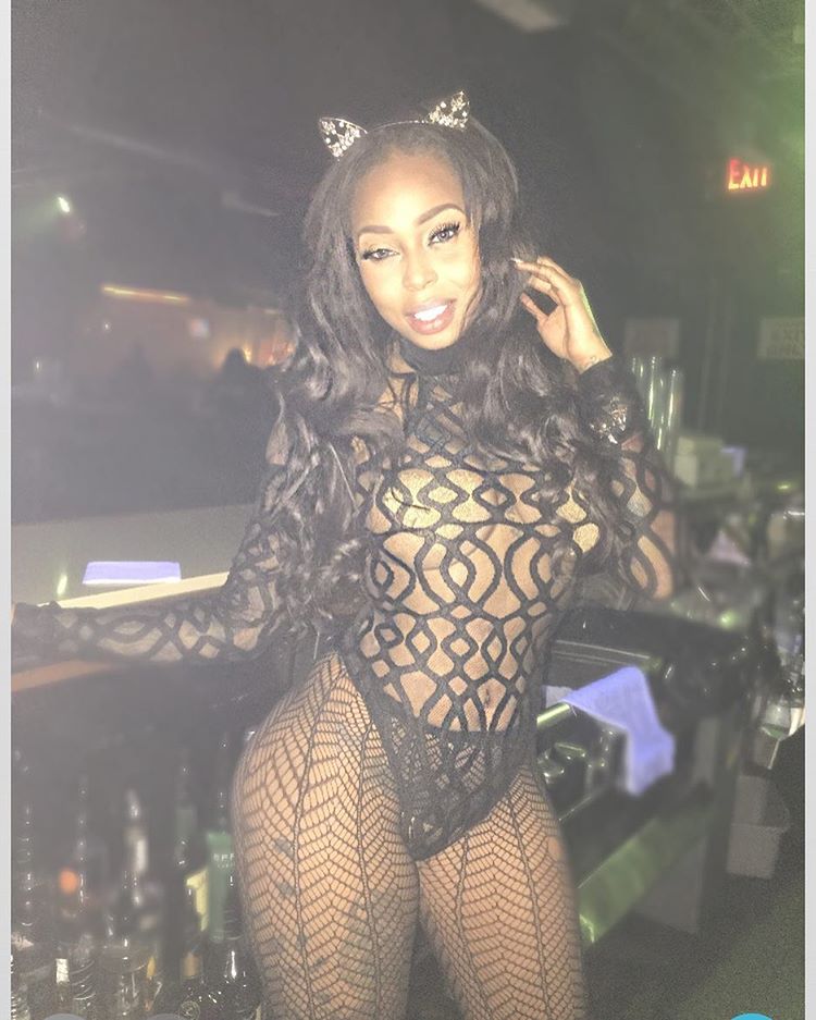 DynastySeries.com