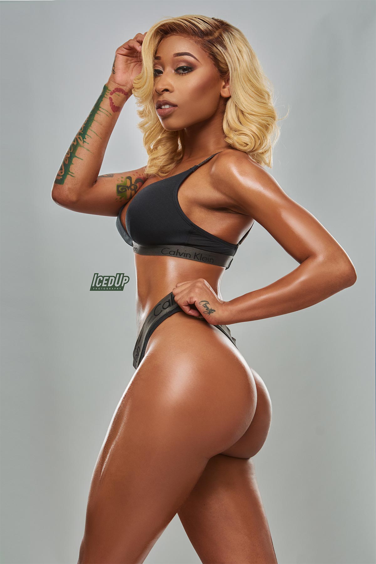 DynastySeries.com