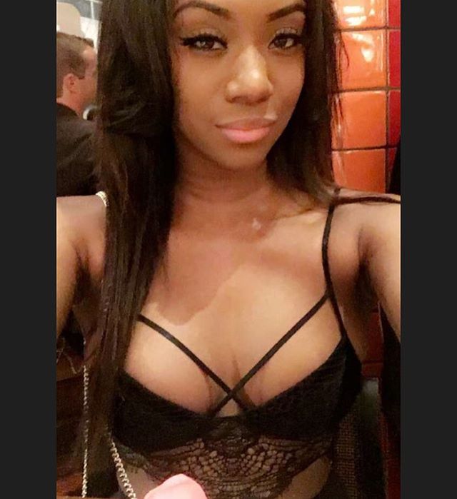 DynastySeries.com