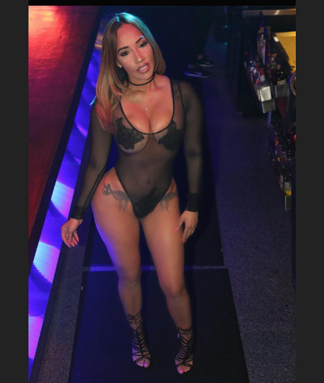 DynastySeries.com