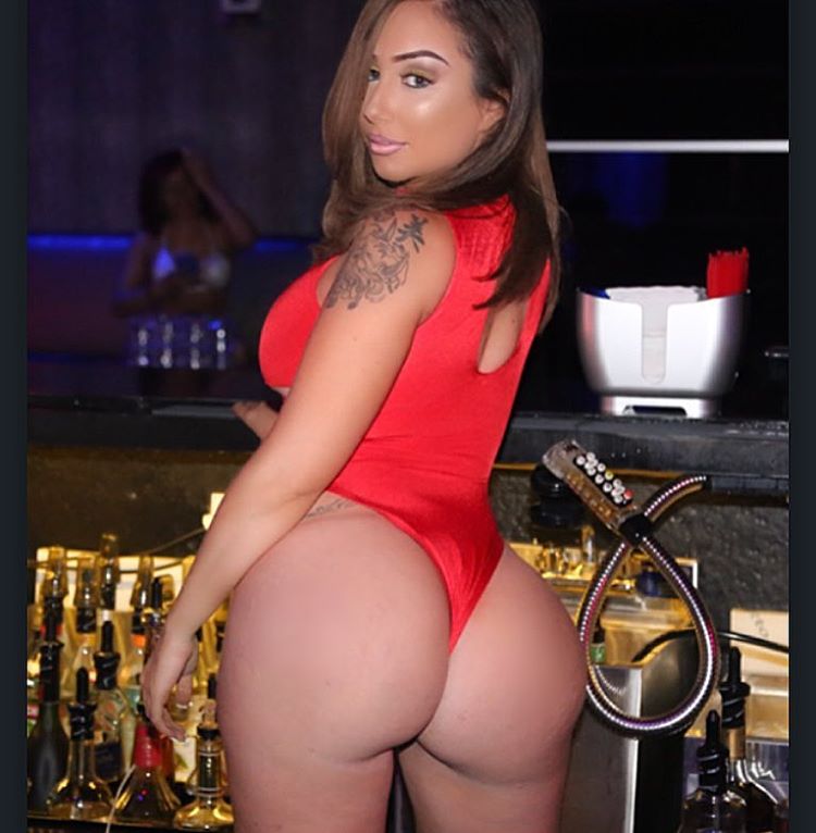 DynastySeries.com