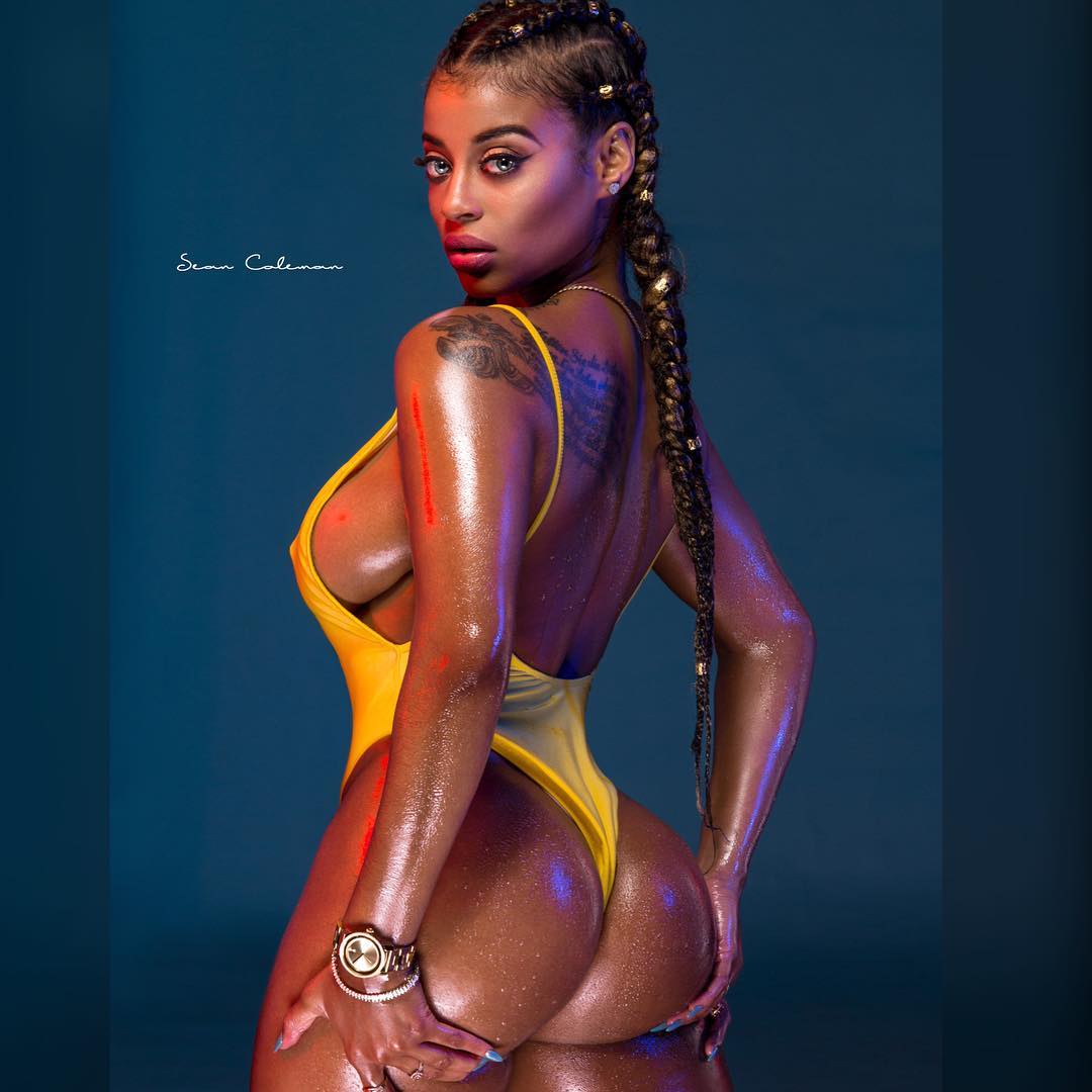 DynastySeries.com