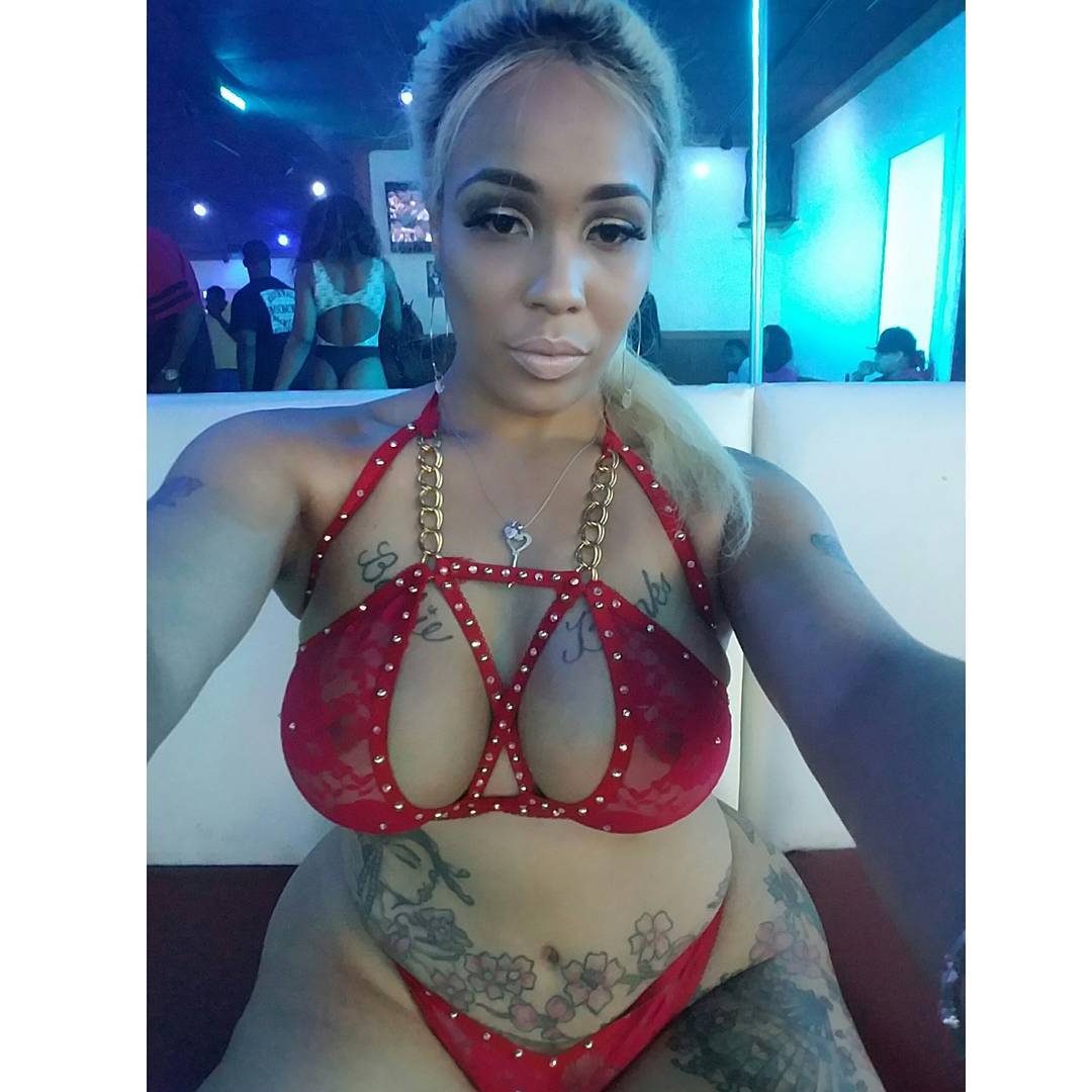 DynastySeries.com