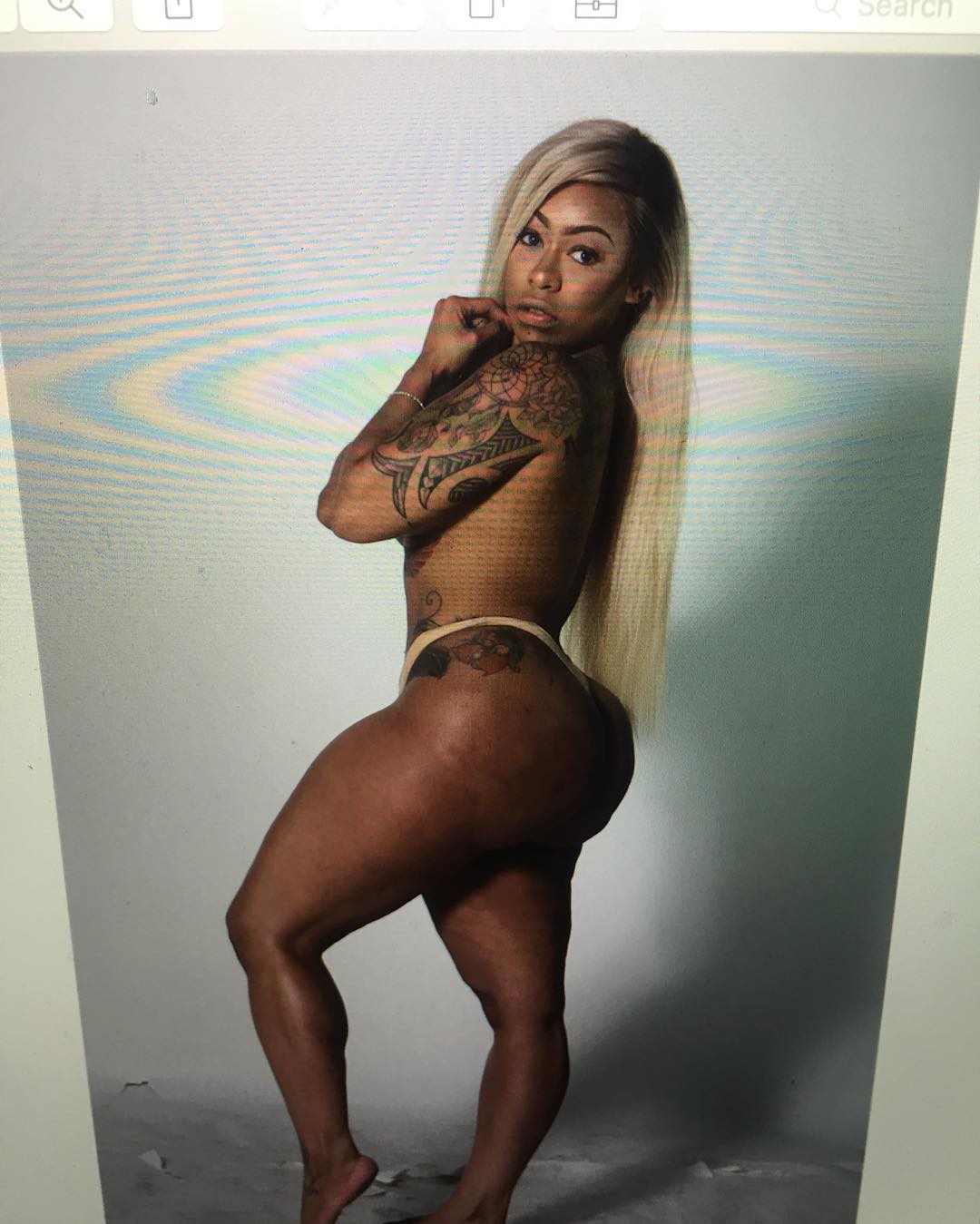 DynastySeries.com