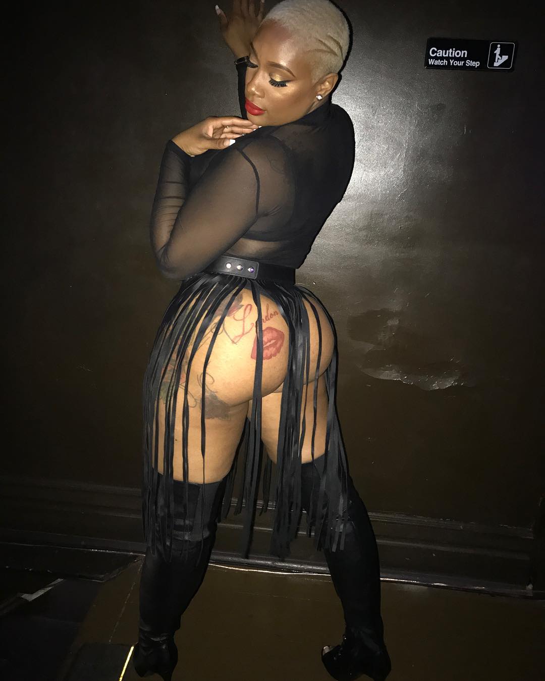 DynastySeries.com