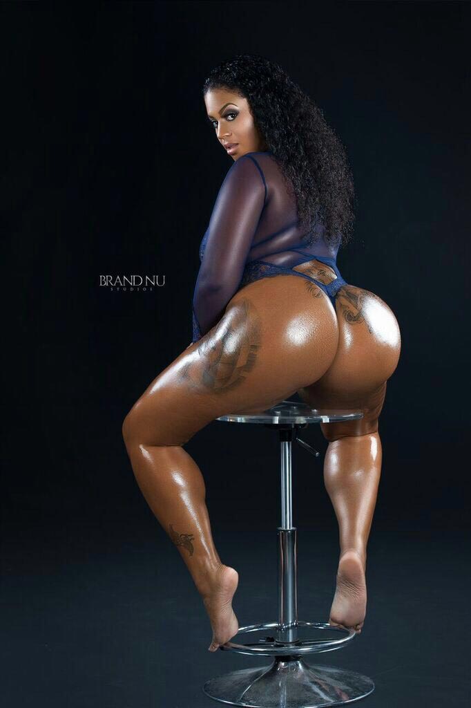 DynastySeries.com