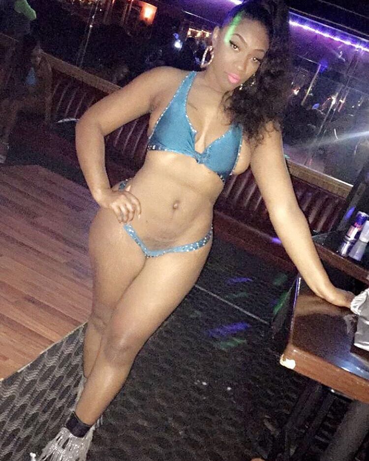 DynastySeries.com