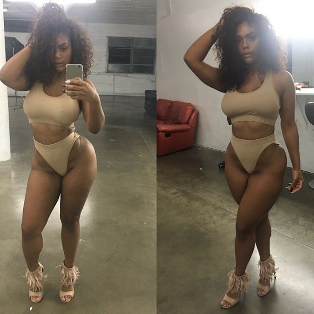 DynastySeries.com