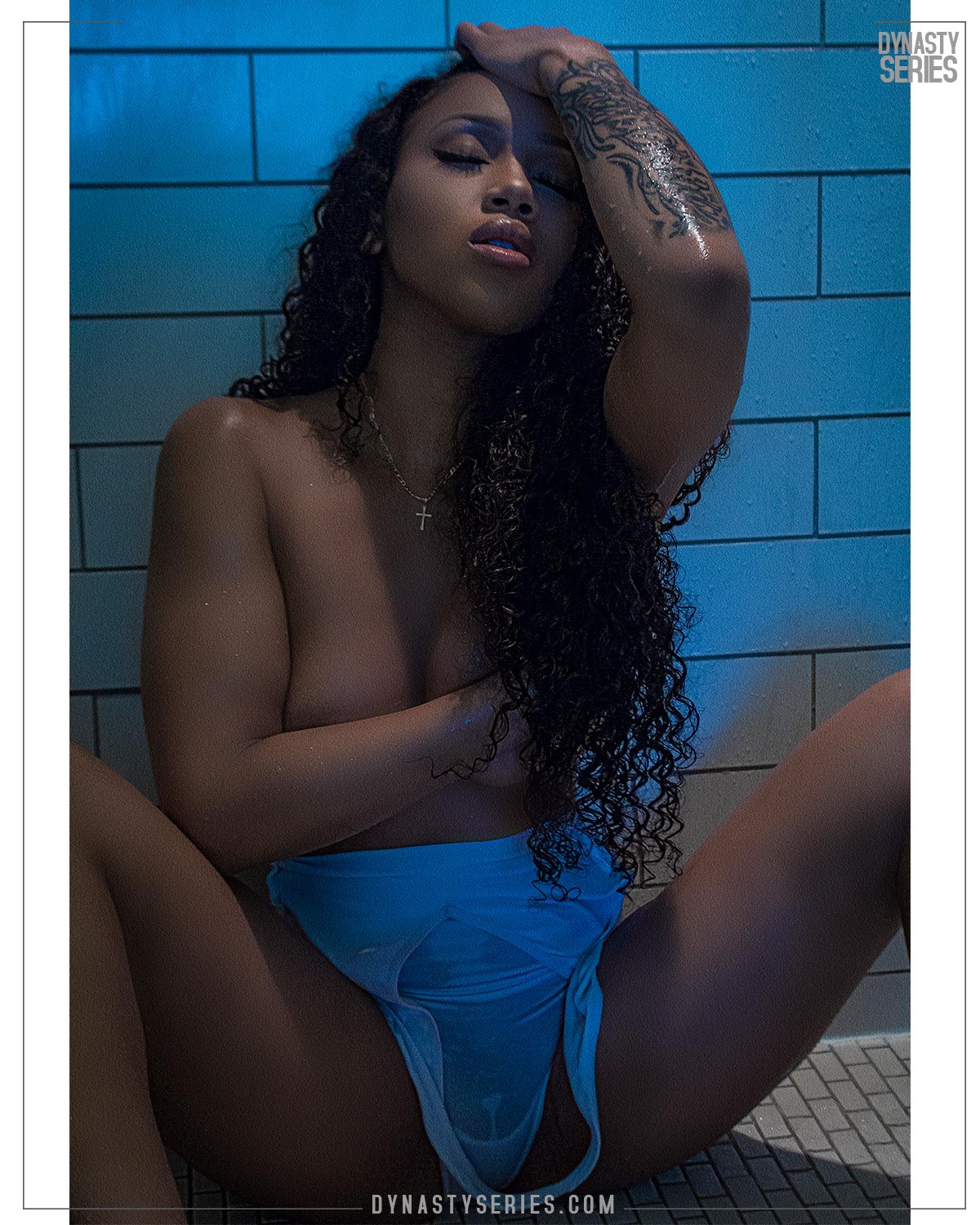 DynastySeries.com