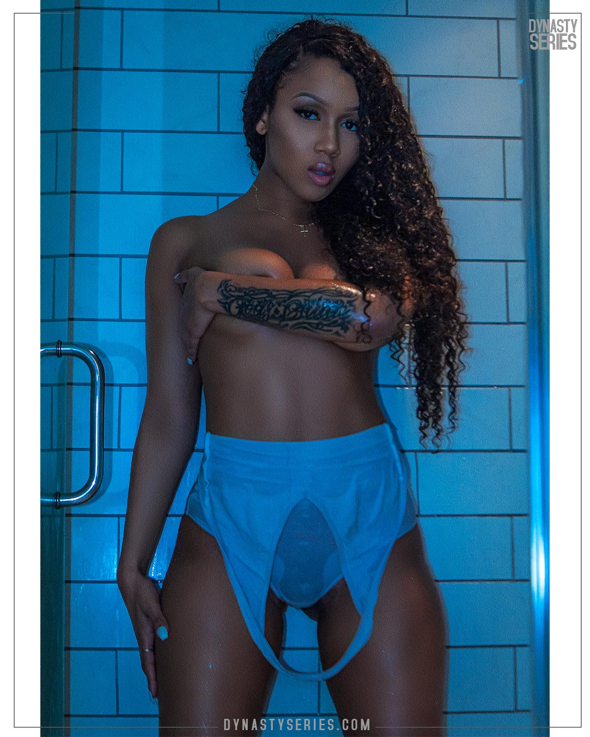 DynastySeries.com