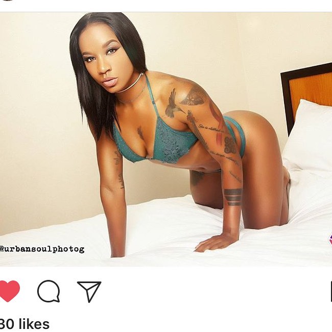 DynastySeries.com