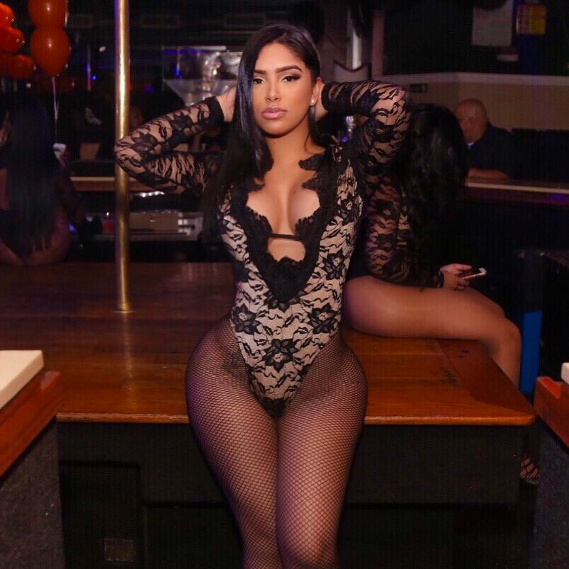 DynastySeries.com