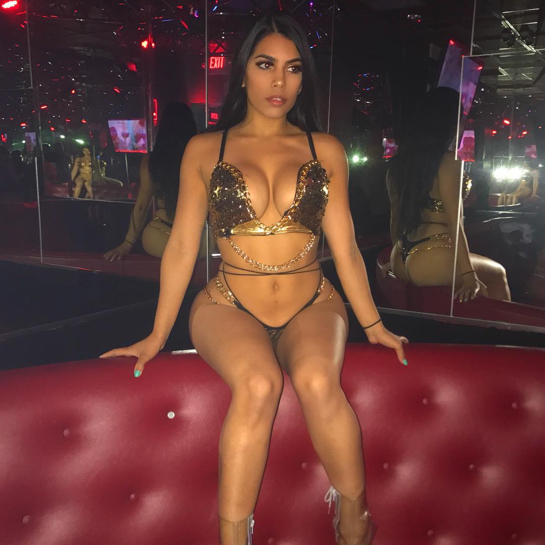 DynastySeries.com