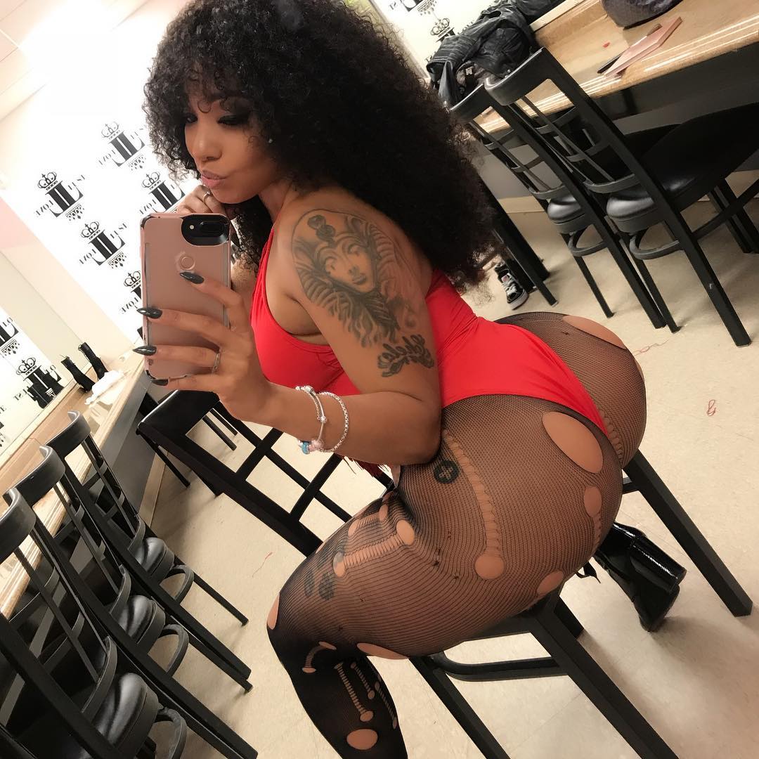 DynastySeries.com