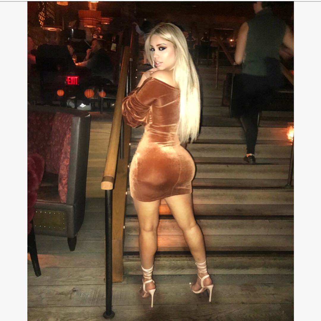 DynastySeries.com