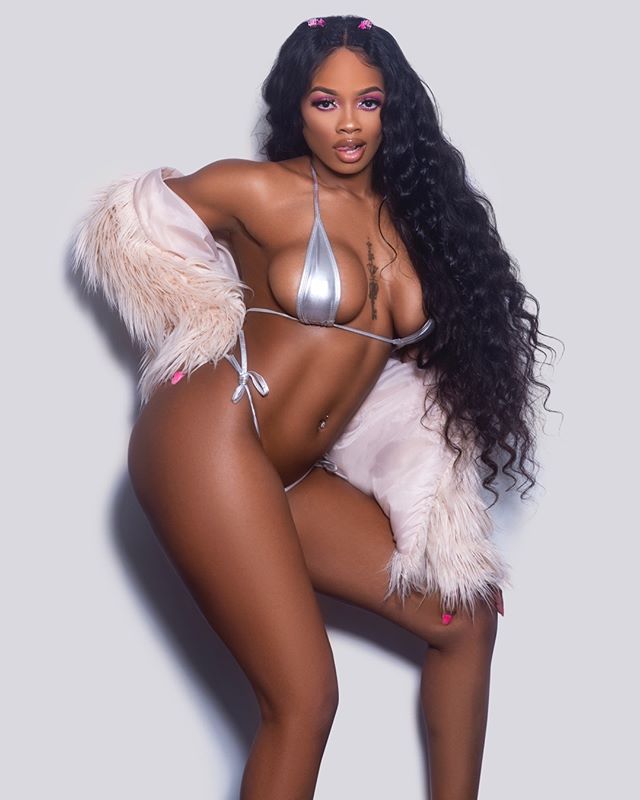 DynastySeries.com