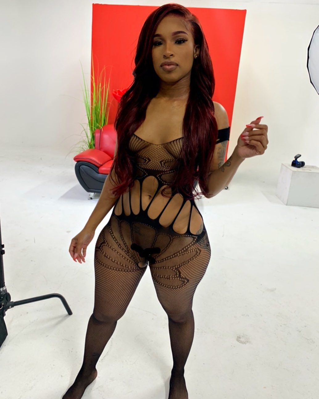 DynastySeries.com