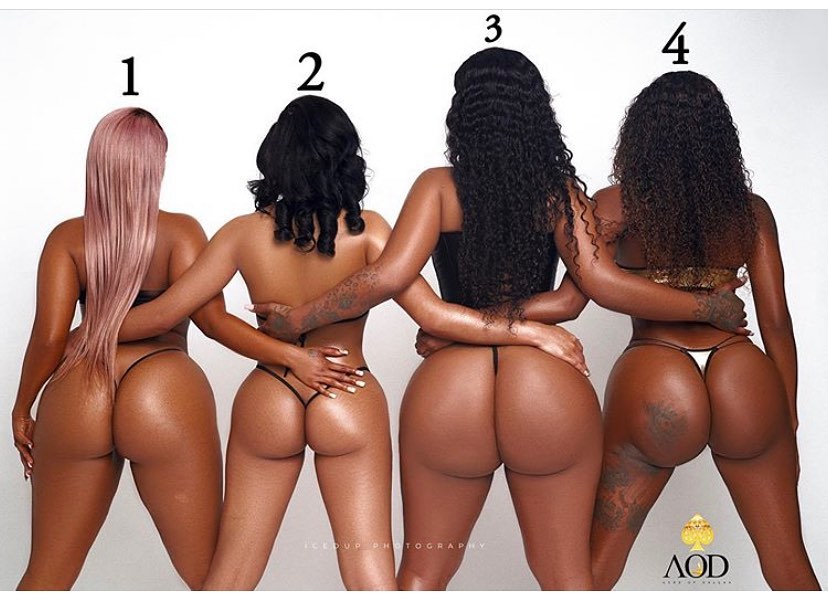 DynastySeries.com