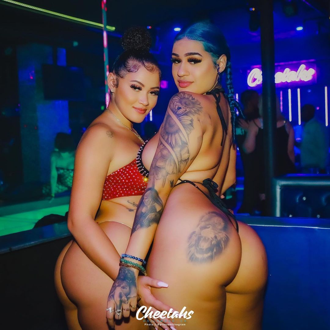 DynastySeries.com