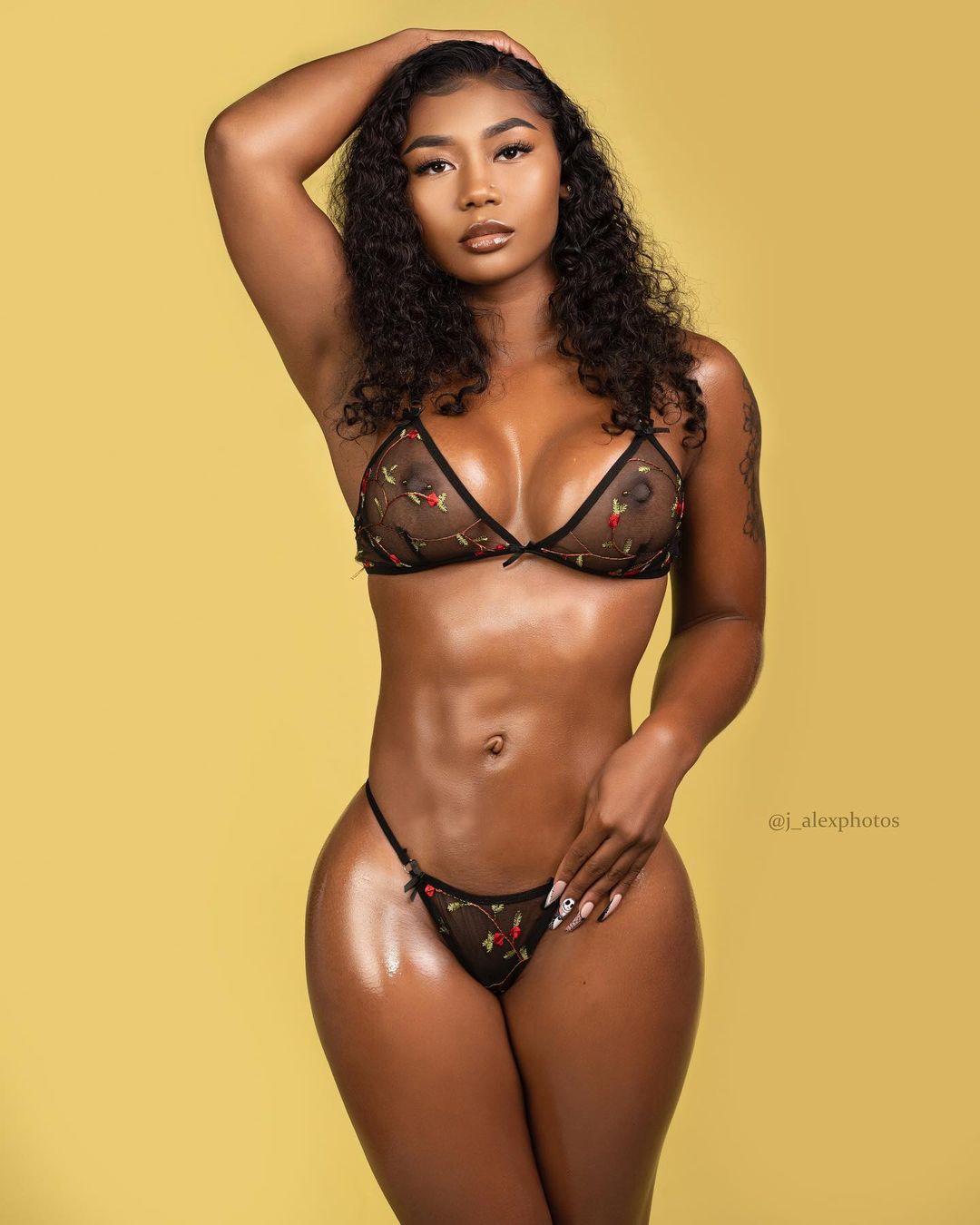 DynastySeries.com