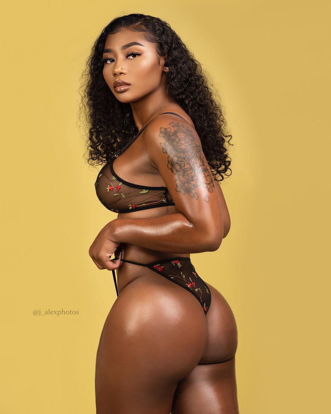 DynastySeries.com