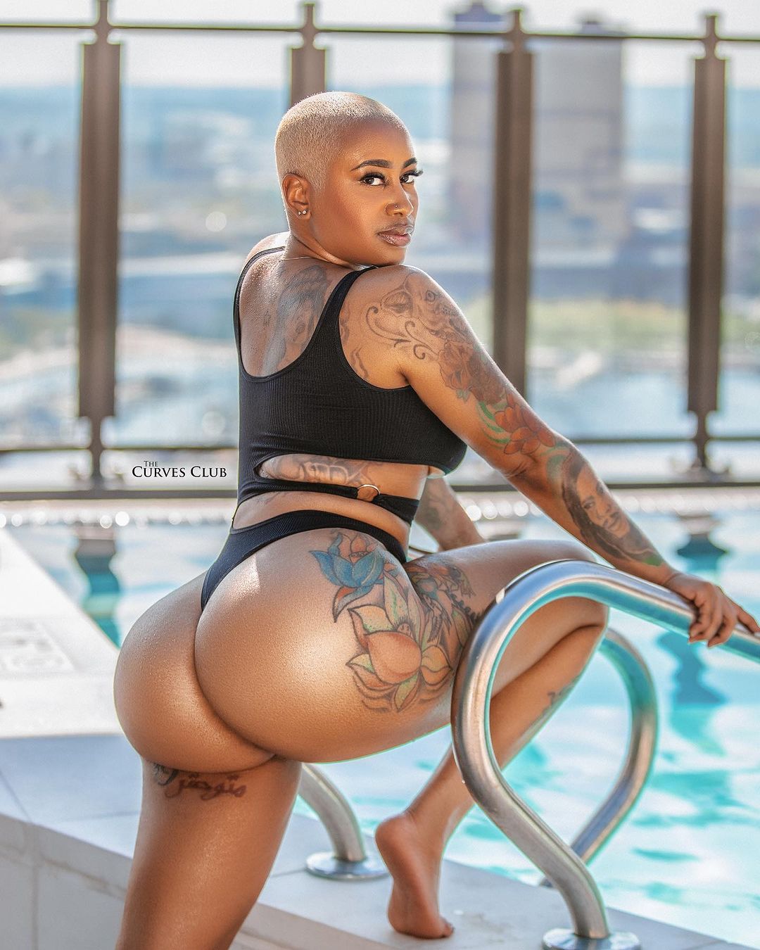 DynastySeries.com