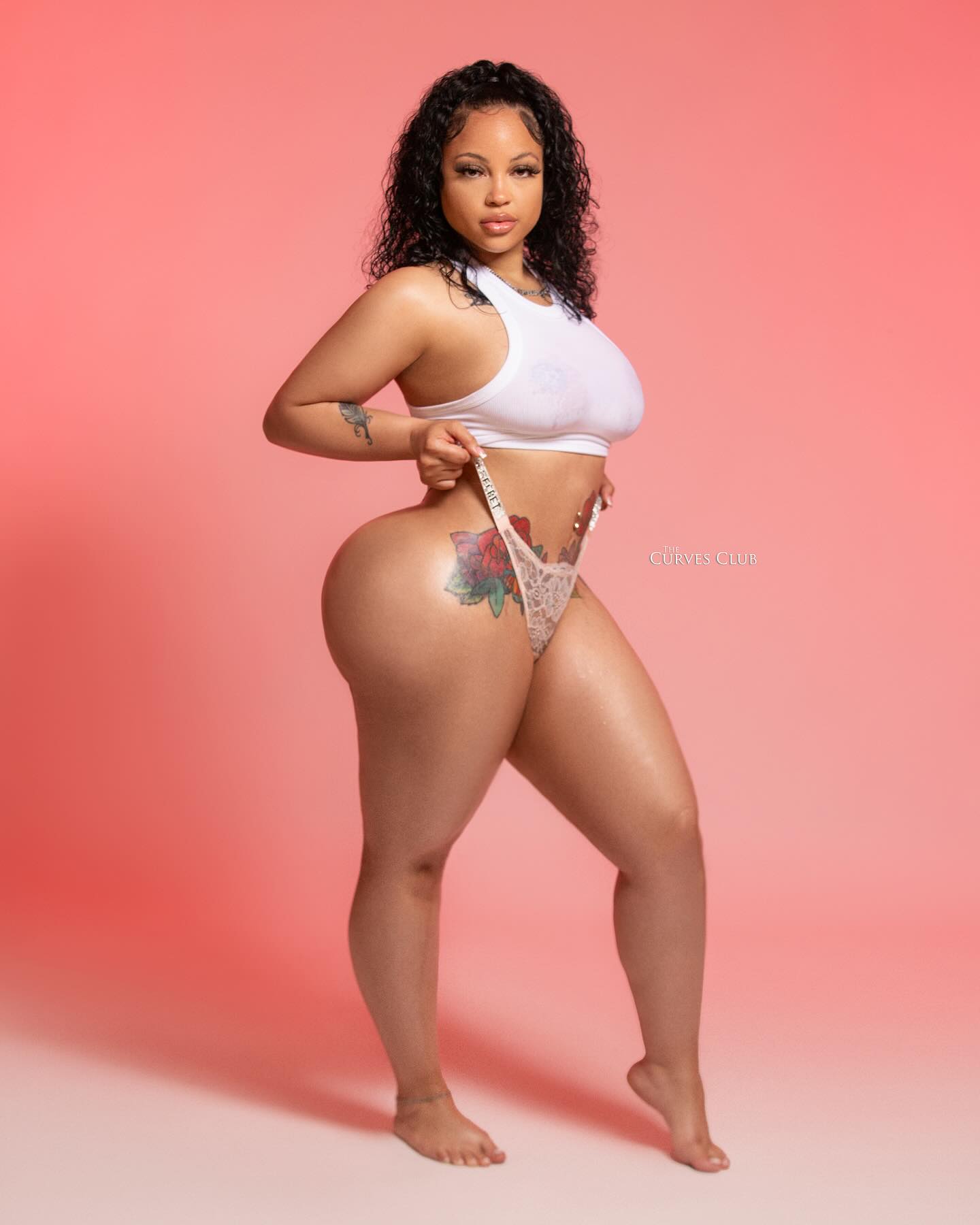 DynastySeries.com