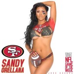 DynastySeries NFL Game of the Week: Sandy Orellana (49ers) vs Princesz (Seahawks) - Jose Guerra
