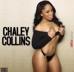 Chaley Collins @chaleyf5 - Introducing - Facet Studio