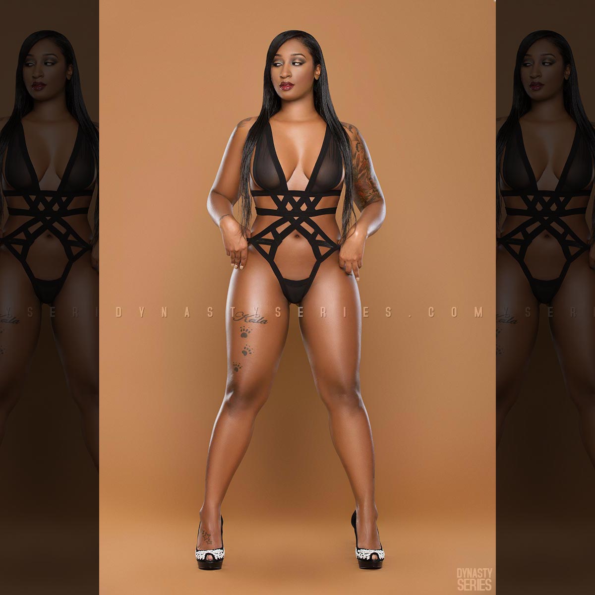 DynastySeries.com