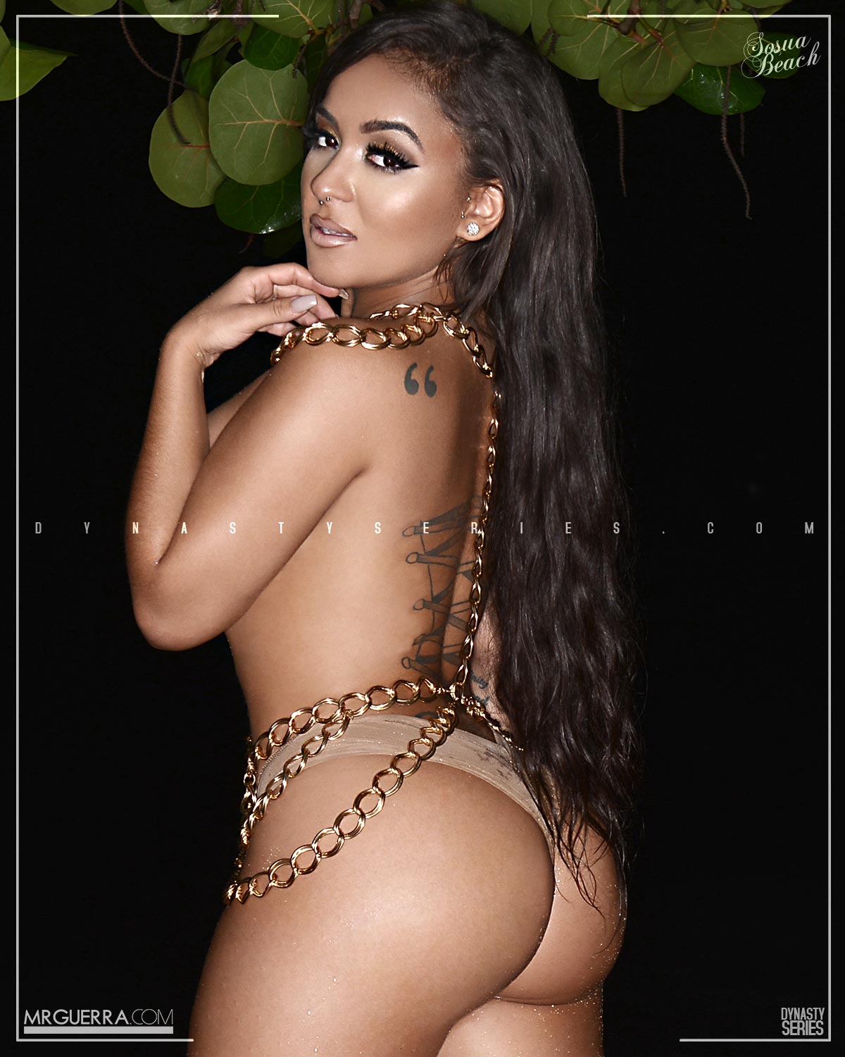 DynastySeries.com