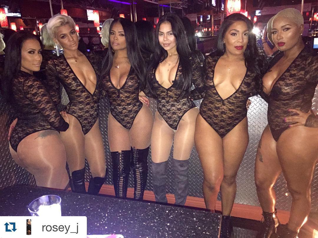 DynastySeries.com