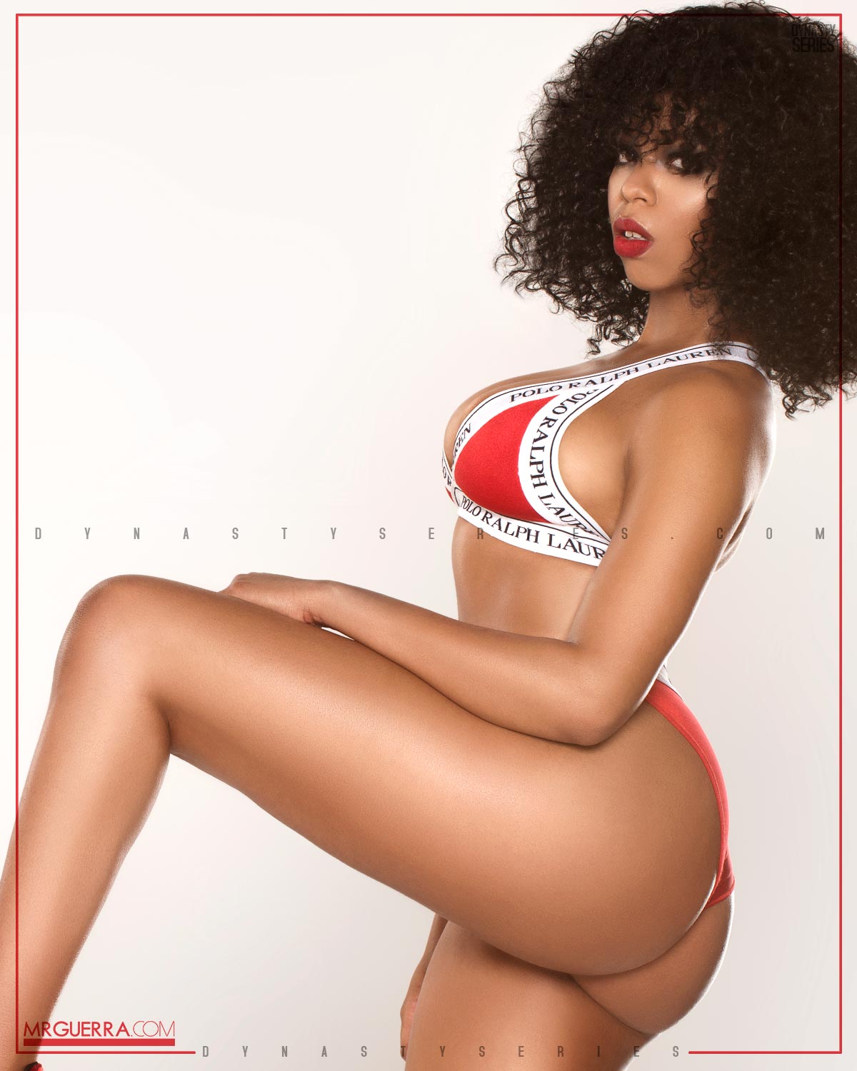 DynastySeries.com