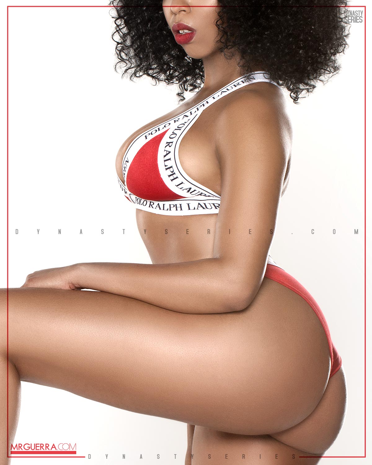DynastySeries.com