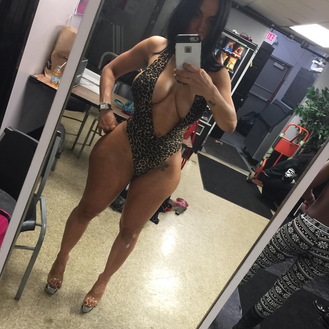DynastySeries.com