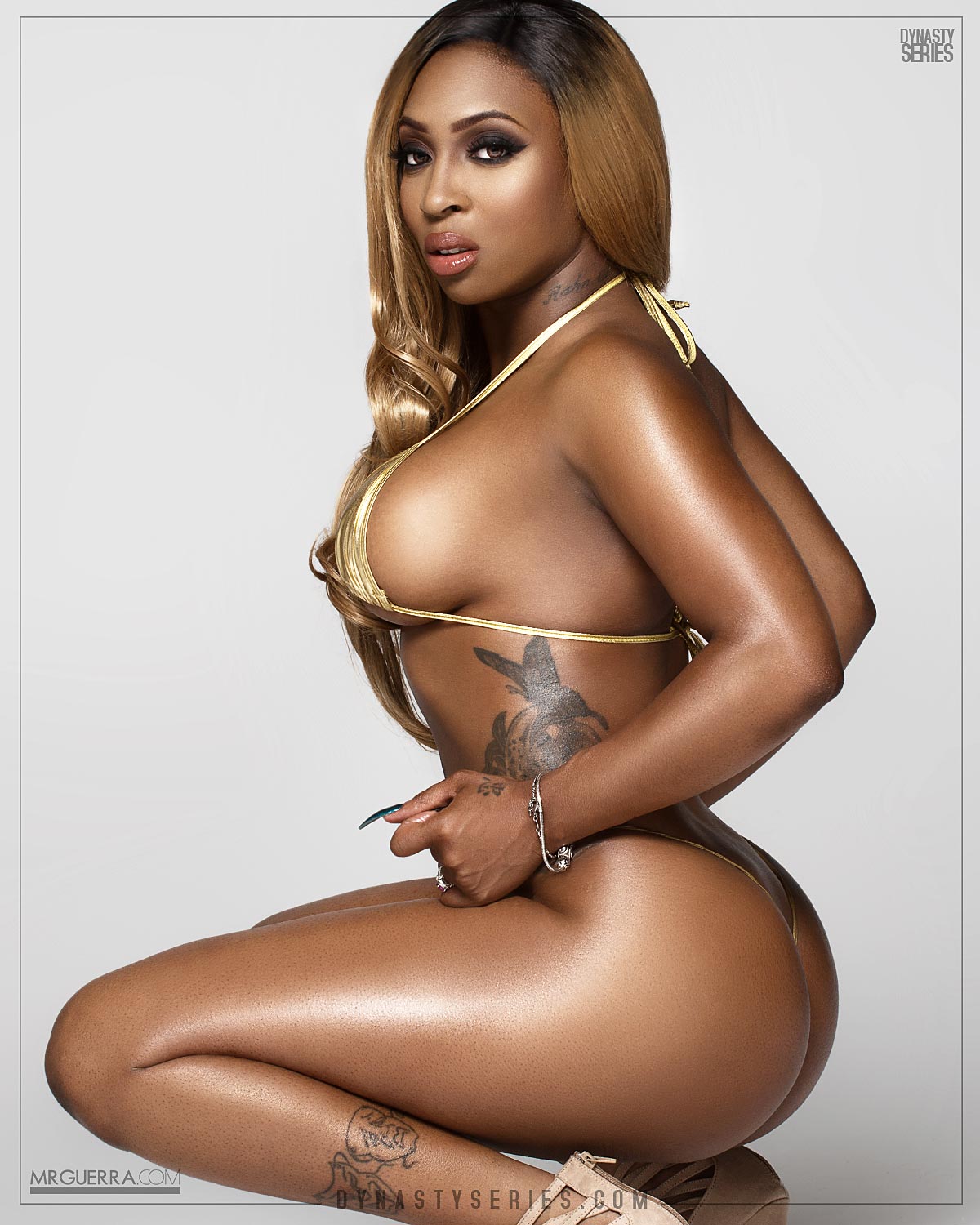 DynastySeries.com