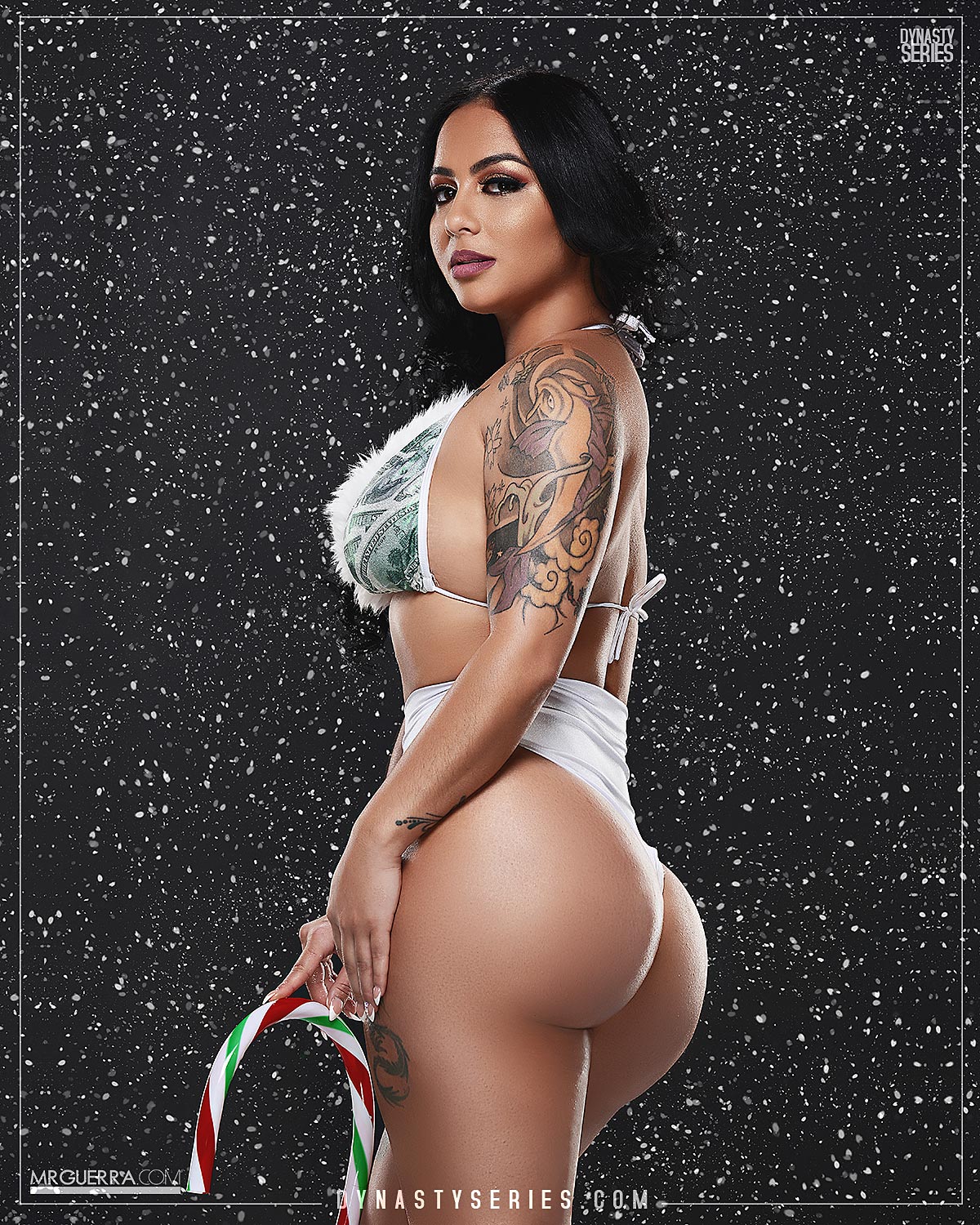 DynastySeries.com