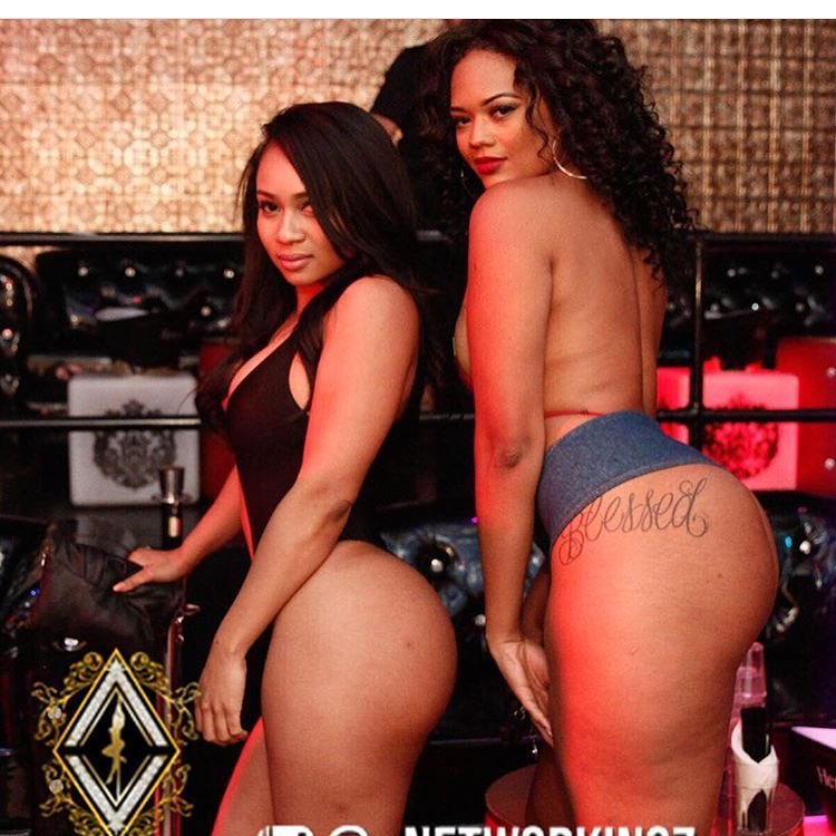 DynastySeries.com