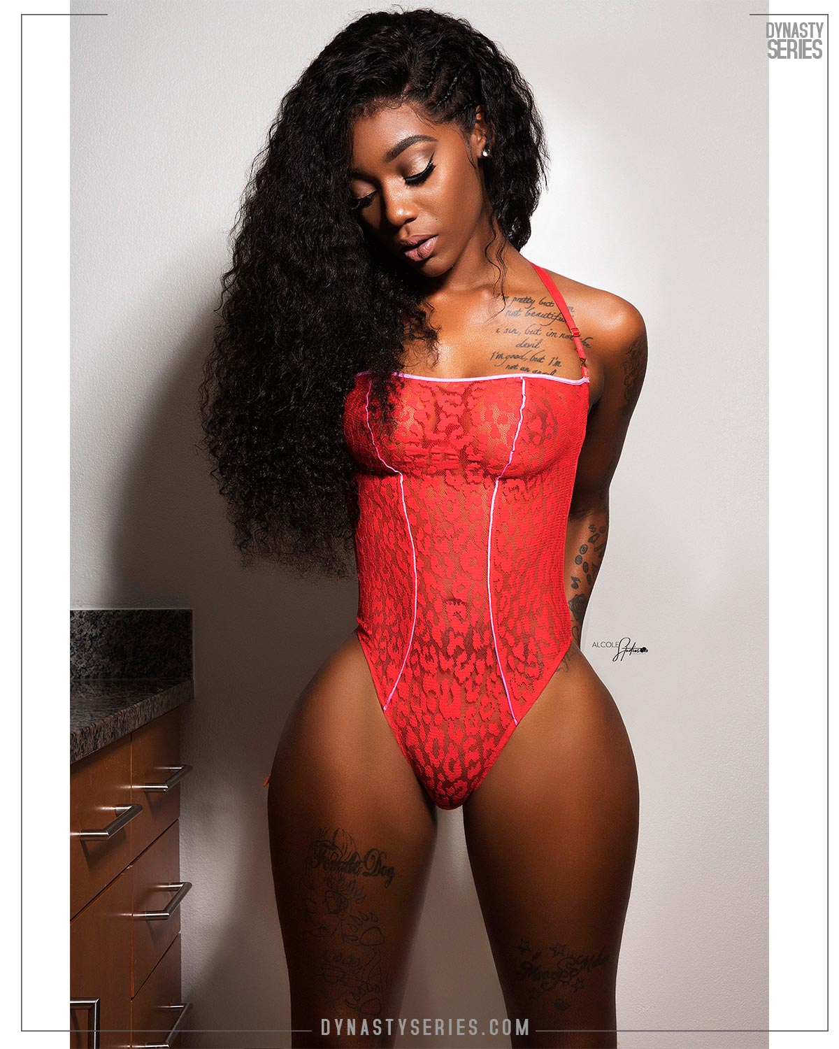 DynastySeries.com