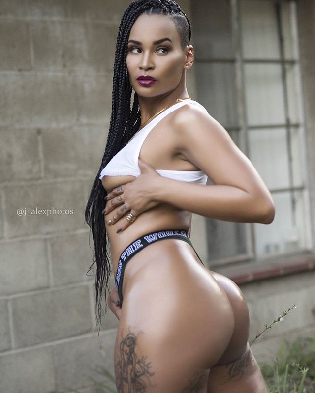 DynastySeries.com