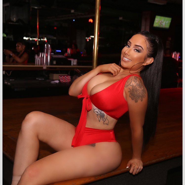 DynastySeries.com