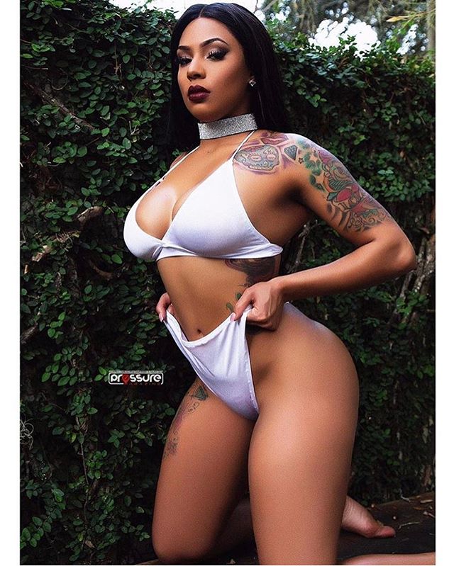 DynastySeries.com