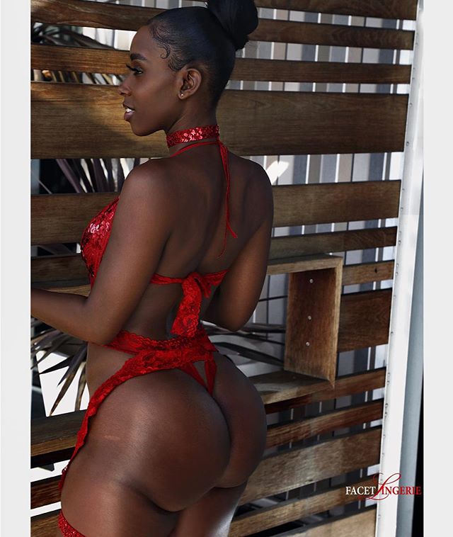 DynastySeries.com